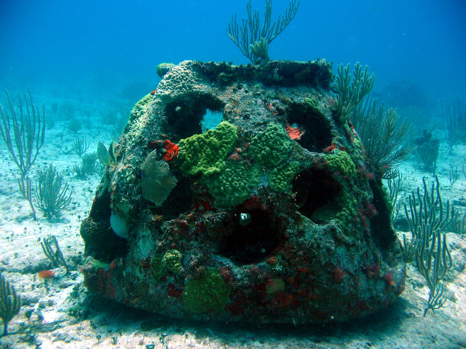 arrecifes art (2018_10_08 13_33_54 UTC).jpg